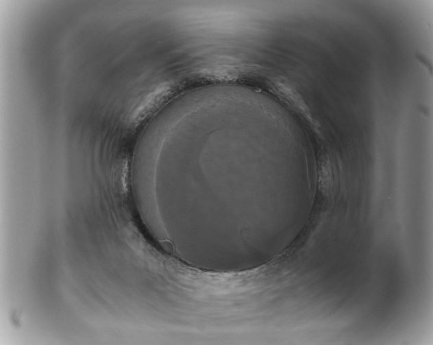 X0000102030023200807251401