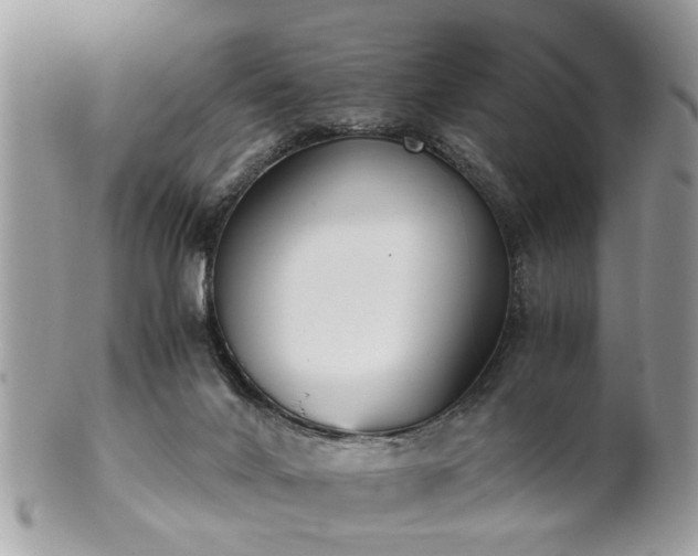 X0000102030024200807251401