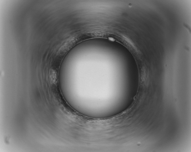 X0000102030025200807251401