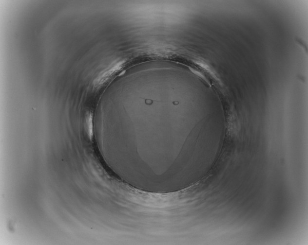 X0000102030027200807251401