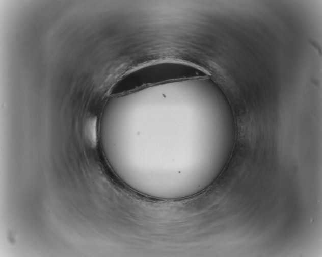 X0000102030028200807251401