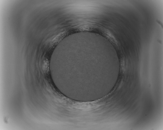 X0000102030029200807251401