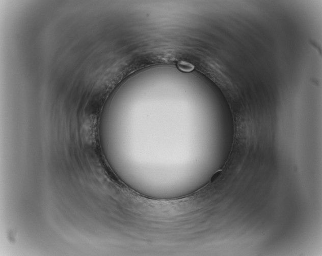 X0000102030030200807251401