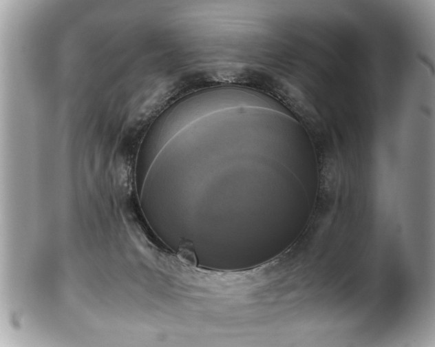 X0000102030031200807251401