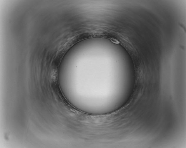 X0000102030033200807251401