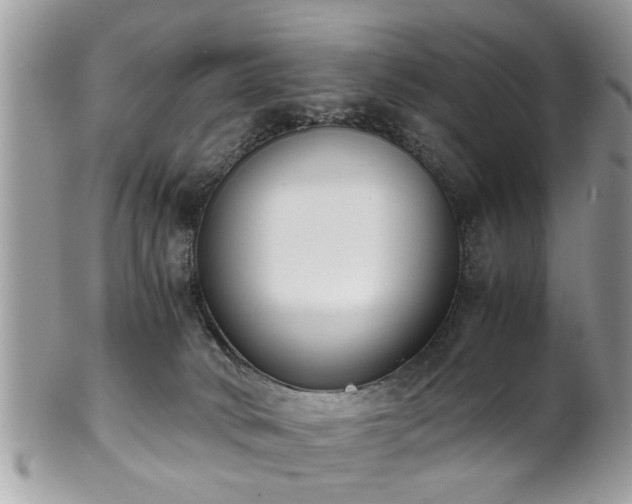 X0000102030034200807251401