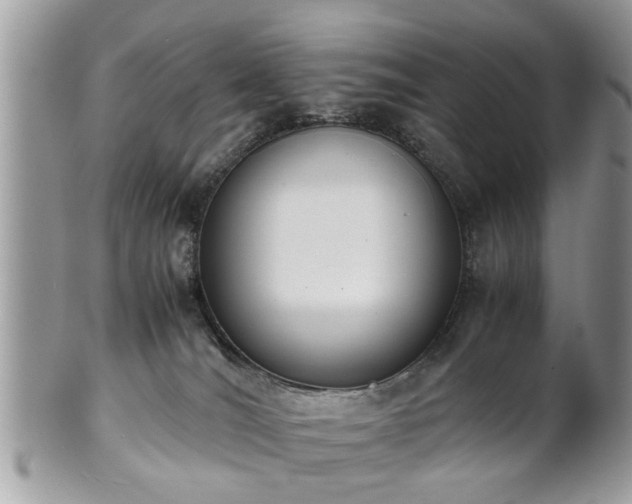 X0000102030036200807251401