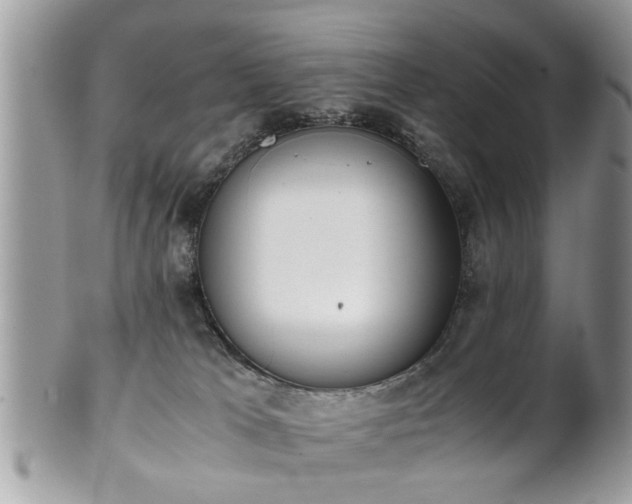 X0000102030037200807251401