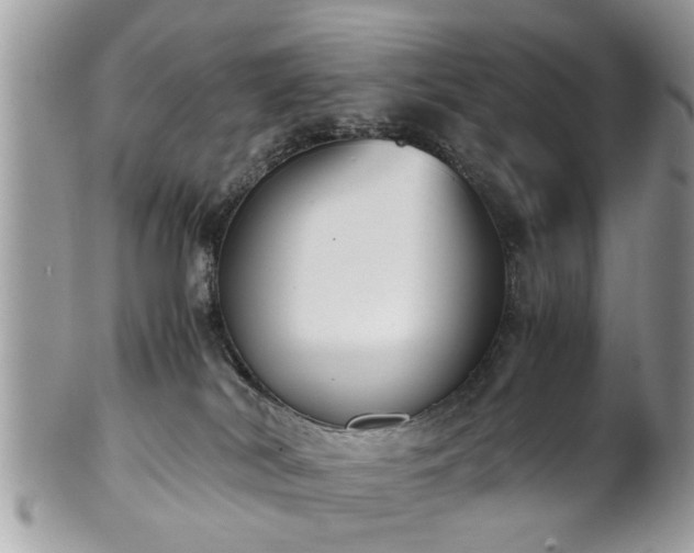 X0000102030038200807251401