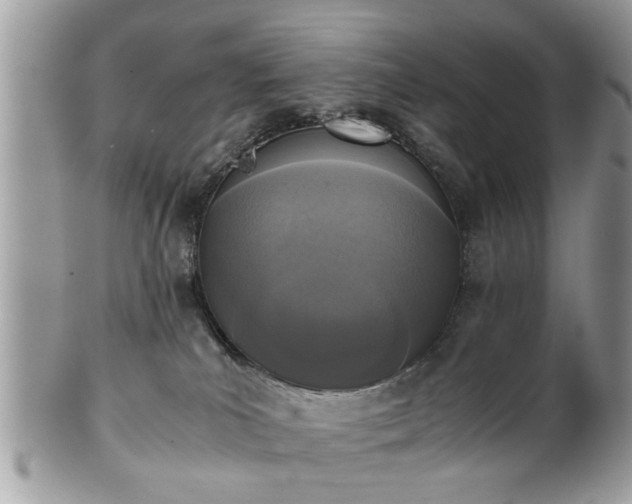 X0000102030039200807251401