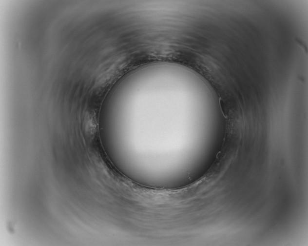 X0000102030040200807251401