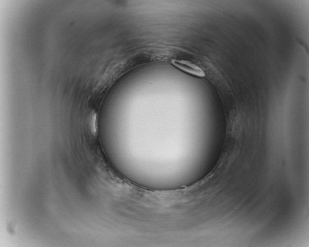 X0000102030041200807251401