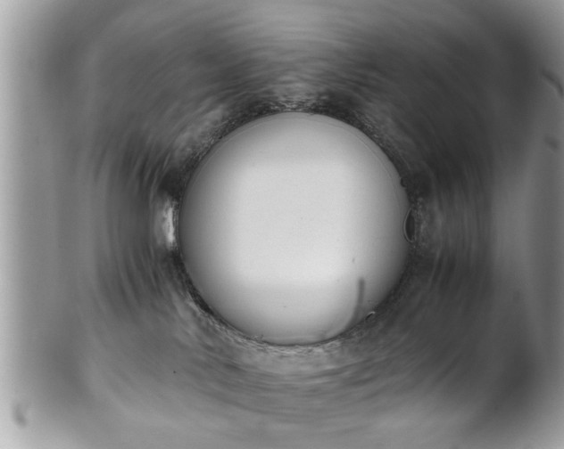 X0000102030042200807251401