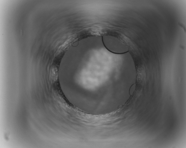 X0000102030043200807251401