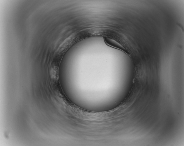 X0000102030044200807251401