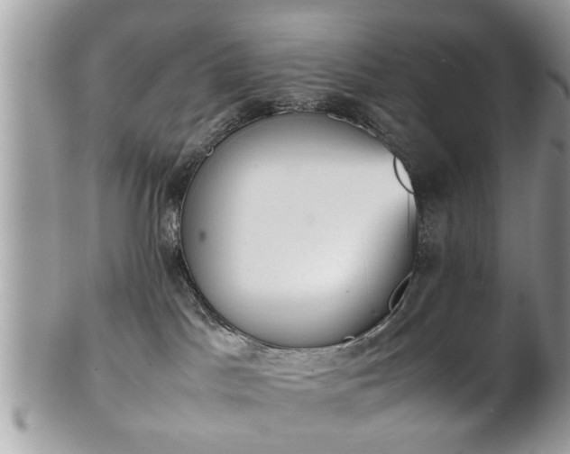 X0000102030045200807251401