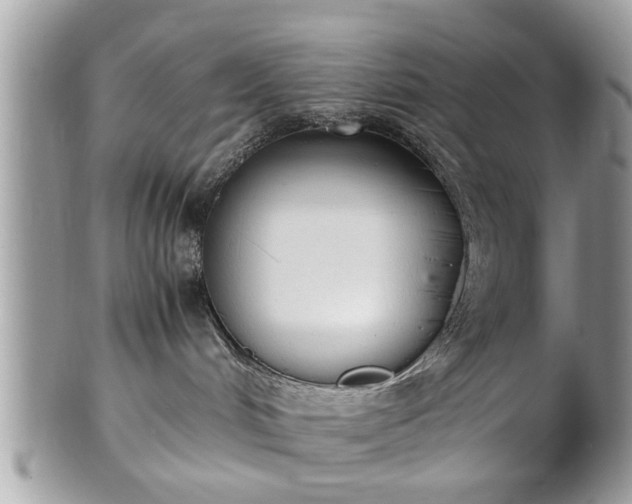 X0000102030048200807251401