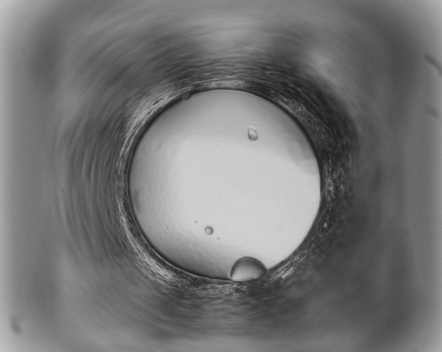 X0000102030049200807251400