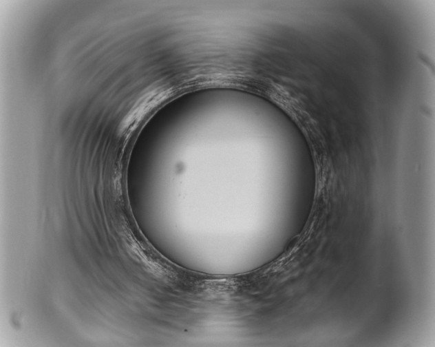 X0000102030050200807251400