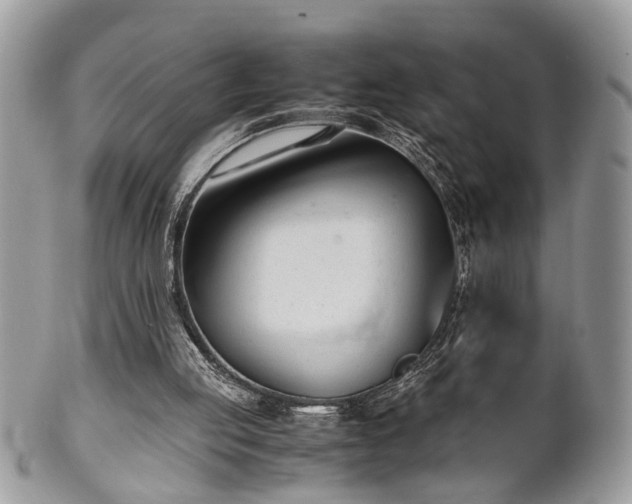 X0000102030053200807251400