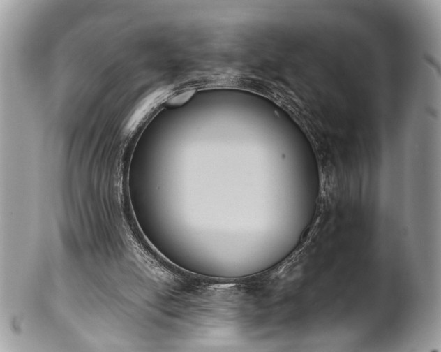 X0000102030054200807251400