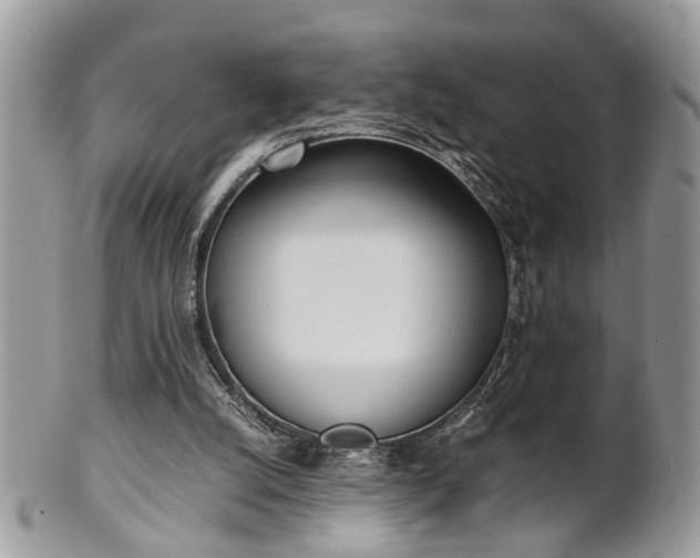 X0000102030056200807251400