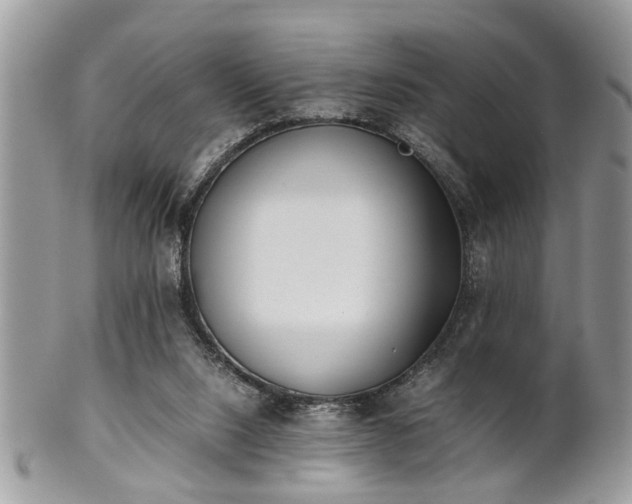 X0000102030064200807251400