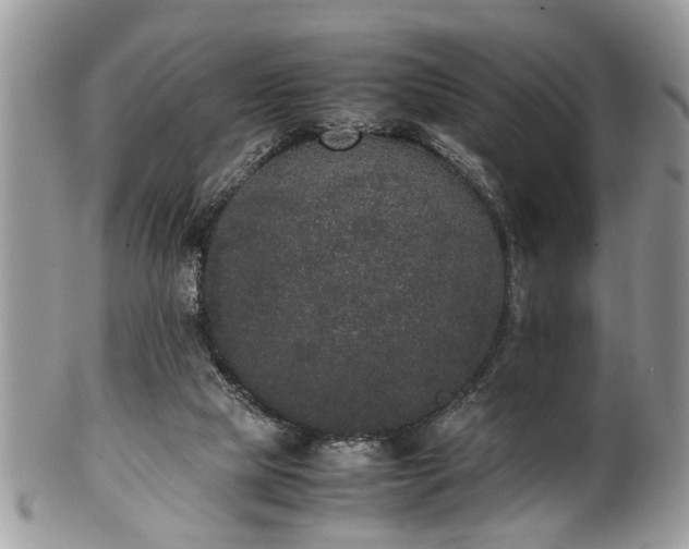 X0000102030065200807251400