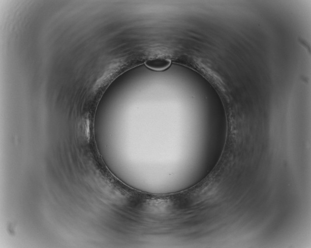 X0000102030067200807251400