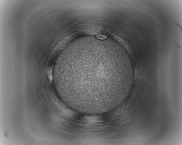 X0000102030069200807251400