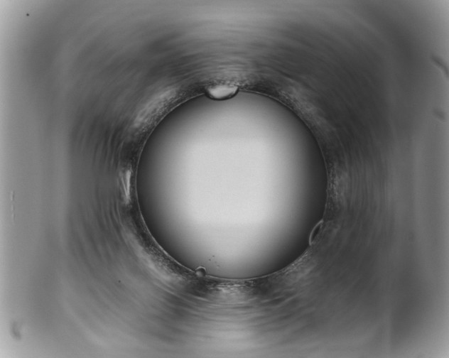 X0000102030070200807251400