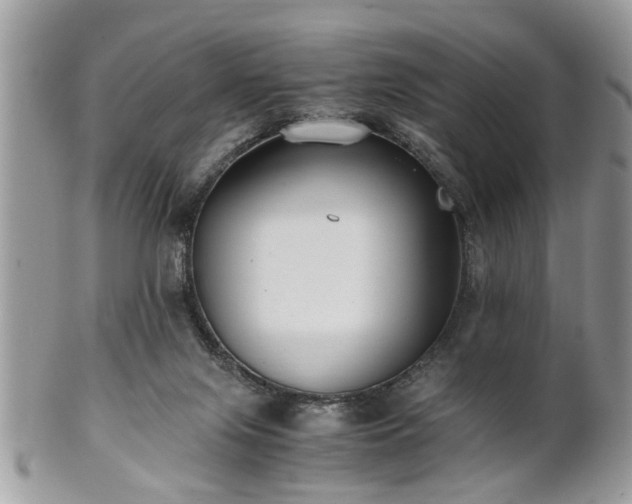 X0000102030071200807251400