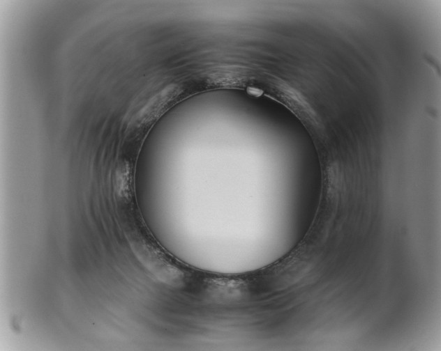 X0000102030073200807251400