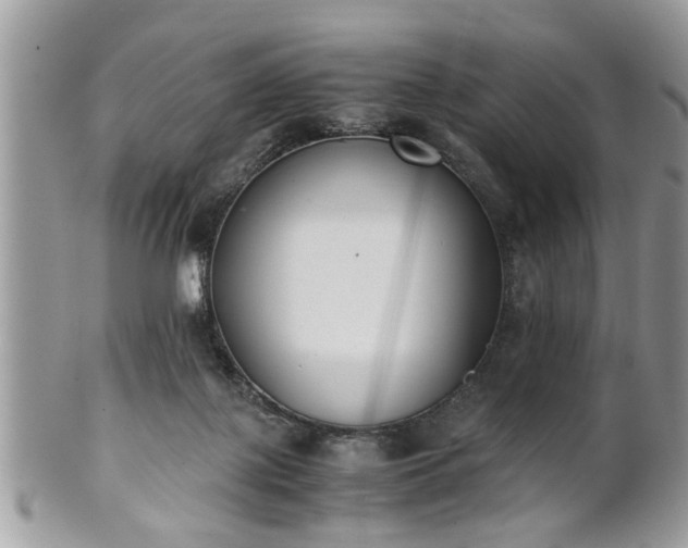 X0000102030075200807251400