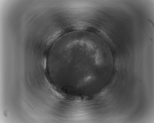 X0000102030076200807251400