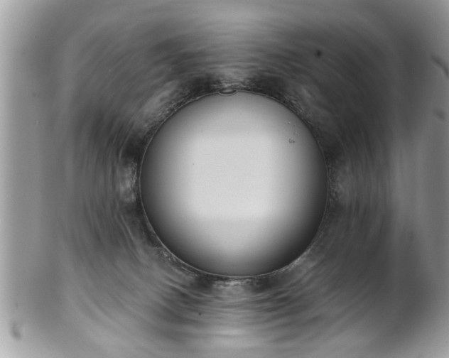 X0000102030082200807251400