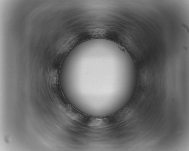 X0000102030083200807251400