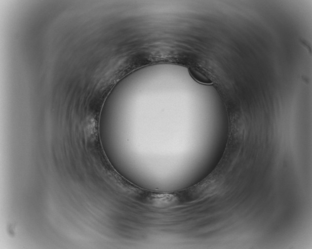 X0000102030087200807251400