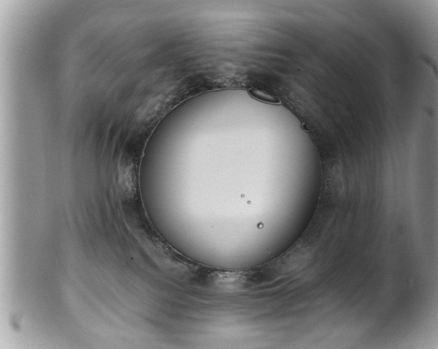 X0000102030088200807251401