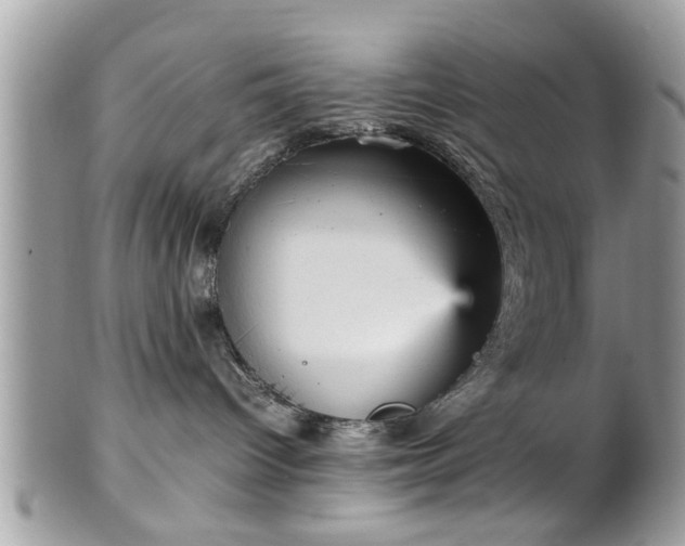 X0000102030096200807251401