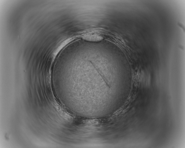 X0000102030100200807251400