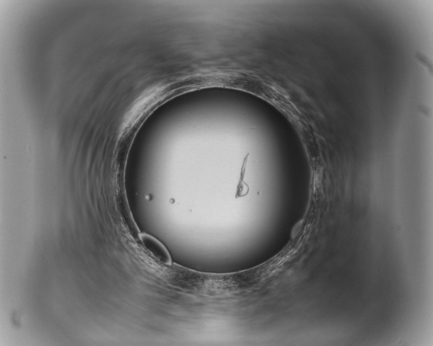 X0000102030101200807251400