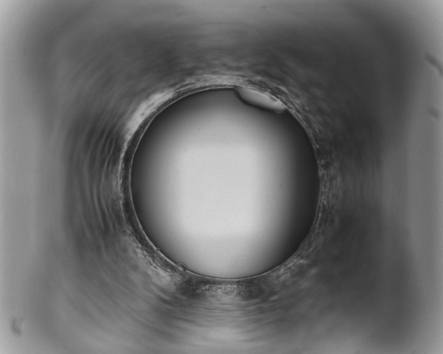 X0000102030104200807251400