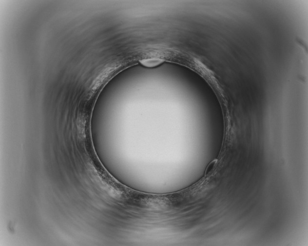 X0000102030106200807251400