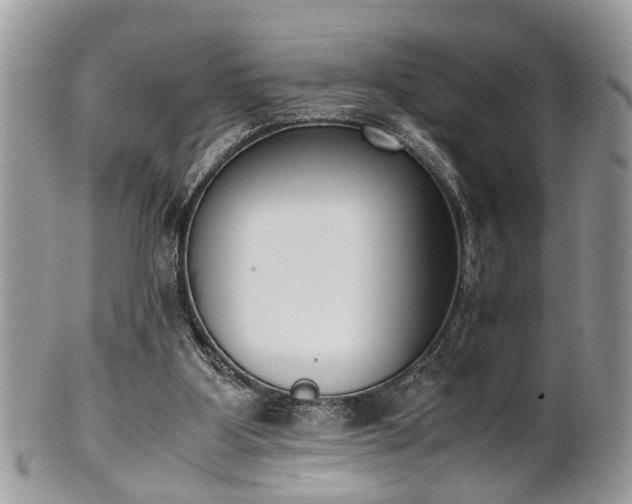 X0000102030107200807251400