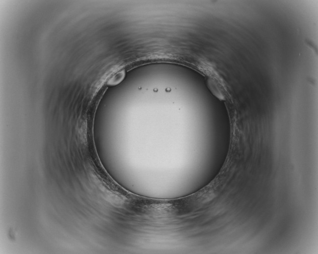 X0000102030108200807251400