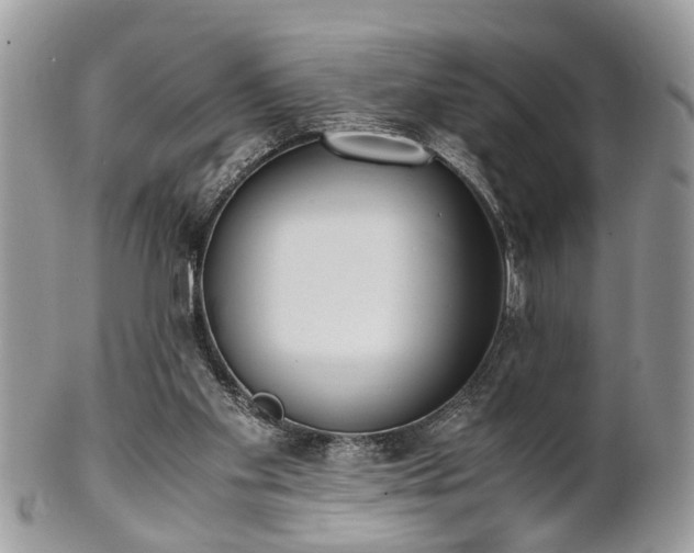 X0000102030109200807251400