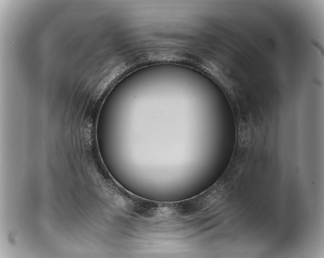 X0000102030111200807251400