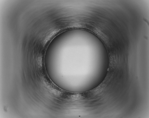 X0000102030112200807251400