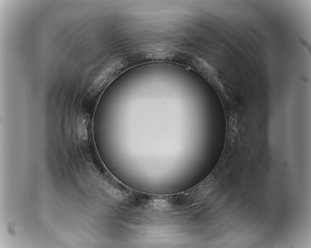 X0000102030114200807251400